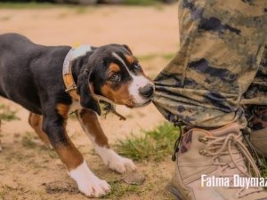 Kapıdağ’ın güzellikleri fotoğraflarla sergilendi