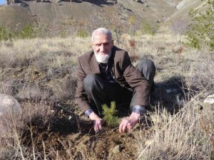 81’lik çınar fidan dikerek doğaya can veriyor