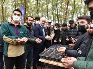 OMÜ Kurupelit Kampüsü’nde ’meşe palamutları’ toprakla buluştu