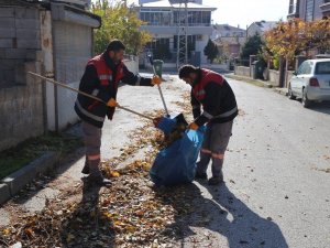 Belediyeden sonbahar temizliği