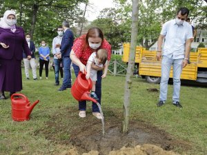 Kağıthane’de 2019 Nisan’ından bugüne kadar 23 bin 800 ağaç dikimi gerçekleştirildi