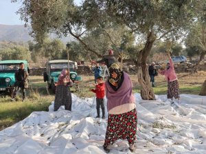 Çine’de ’Zeytin ve Zeytinyağı Festivali’ coşkuyla  başladı
