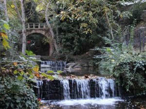 Derekahve’den sonbaharda kartpostallık görüntüler