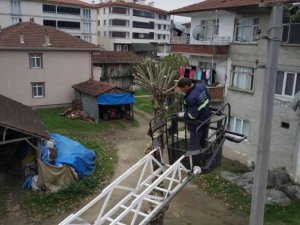 Cumayeri kışa hazırlanıyor