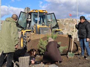 Ardahan’da yeşillendirme ve ağaç dikim çalışması