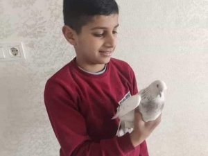 Kayalıklardan düşen 12 yaşındaki çocuk öldü