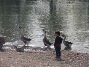 Gölbaşı Gölleri Tabiat Parkı sonbaharda ayrı güzel
