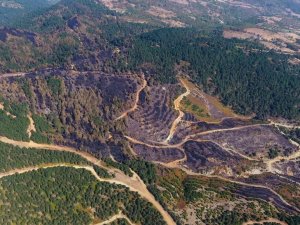 İvrindi’de 57 fidan toprakla buluştu