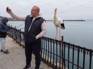 O leylek meşhur oldu, gören cep telefonuna sarılıyor