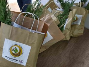 Tapu işlemi yapana fidan hediye