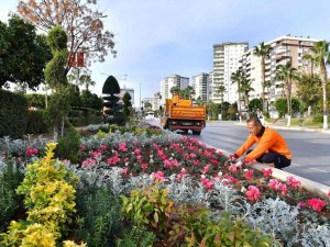 Mersin’de cadde ve refüjler mevsimlik bitkilerle bezeniyor