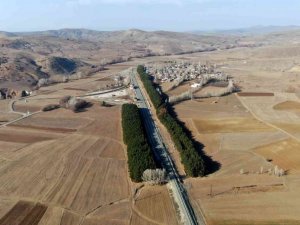 Bozkır’ın ortasında ağaç koridoru