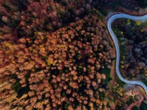 Sonbaharın doğaya yansıyan tonları büyüledi