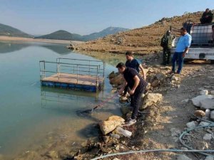 Kuruyan deredeki yavru balıklar kurtarıldı