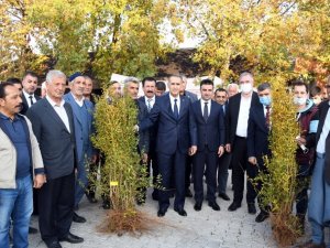 Adıyaman’da çiftçilere nar fidanı dağıtıldı