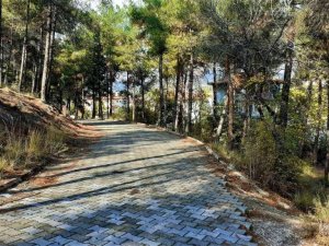 İlçe halkı Arafat tepesinin ışıklandırmasını istiyor