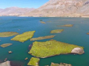 Binlerce yılda oluşan yüzen adaların su altı yapısı ilk kez görüntülendi