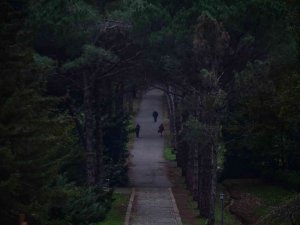 Atatürk Arboretumu’nda renk cümbüşü