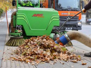 Ağaçlardan dökülen yapraklar için 650 belediye personeli görevde