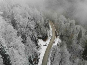 Yedigöller Milli Parkı yolu beyaz örtüyle kaplandı