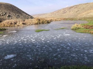 Kars eksi 12’yi gördü, dereler dondu
