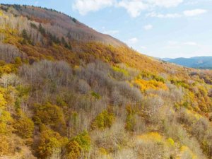 Işık Dağı sonbaharda manzarasıyla hayran bırakıyor