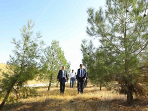 Fadıloğlu elleriyle diktiği fidanlardan oluşan ormanları gezdi