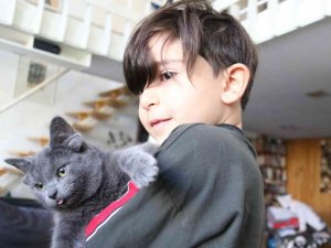 Sosyal medya fenomeni dört kulaklı kedi “Midas”ın başı sahte hesaplarla dertte