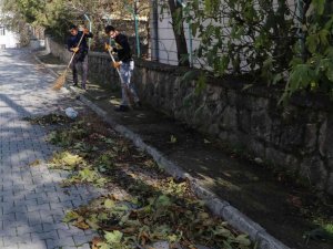 Havza Belediyesi’nden sonbahar temizliği