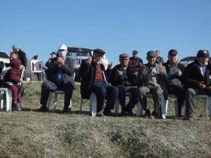 Balıkesir’de güreş develeri için havut hayrı yapıldı