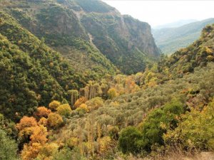 EKODOSD’ tan, Koçak Kanyonu için koruma çağrısı