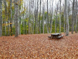 Bursa, Kasım’da başka güzel
