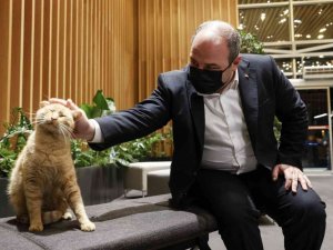 Bakan Varank, kütüphaneye pizza götürdü