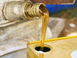 Çam balına TSE standardı