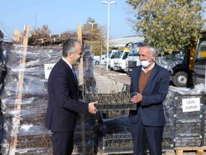 Bursa’nın toprağı Büyükşehir’le bereketleniyor