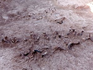 Roma döneminden kalma kapı çivileri bulundu