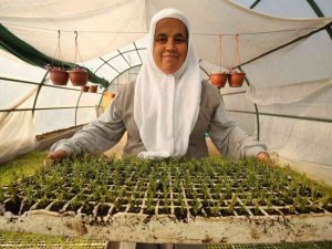 Nilüfer’in parklarına ekilecek bitkiler özenle yetiştiriliyor