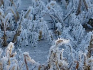 Göle eksi 10’u gördü