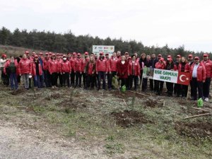 Coca-Cola Hatıra Ormanları’nda 50 bin fidan yeşerecek
