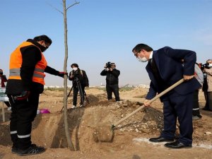 İnönü üniversitesinde yeni açılan bulvar ağaçlandırılıyor