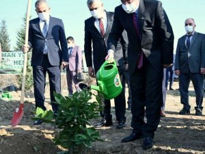 ‘Öğretmenler Günü Hatıra Ormanı’na 50 fidan dikildi