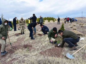 Ahlat’ta şehit öğretmenler anısına fidan dikildi
