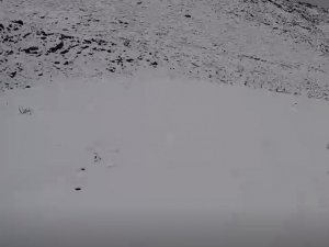 Denizli’de yılın ilk karı toprakla buluştu