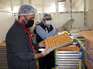 Van’da zabıta bir yılda 9 bin 796 olaya müdahale etti