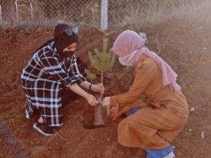 100 fidan toprakla buluştu