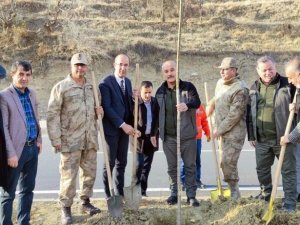 Esendere Belediyesi 500 fidan dikti