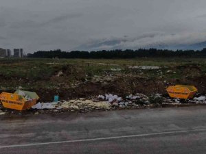 Konteyner konuldu ama vatandaş yine de çevreyi katlediyor