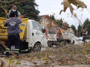 Serdivan Belediyesi’nden sonbahar mesaisi