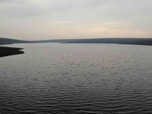 Baraj gölünde toplu balık ölümleri korkutuyor