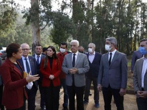 Marmaris’e Tıbbı Aromatik bitkiler koleksiyonu bahçesi